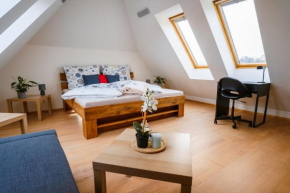 Apartmán ve vile, Ostrava